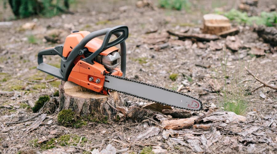 How to remove a tree stump