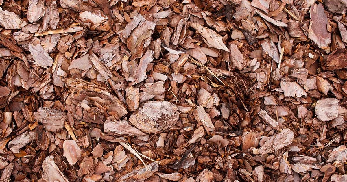 Mini Bag Bark 60L buy