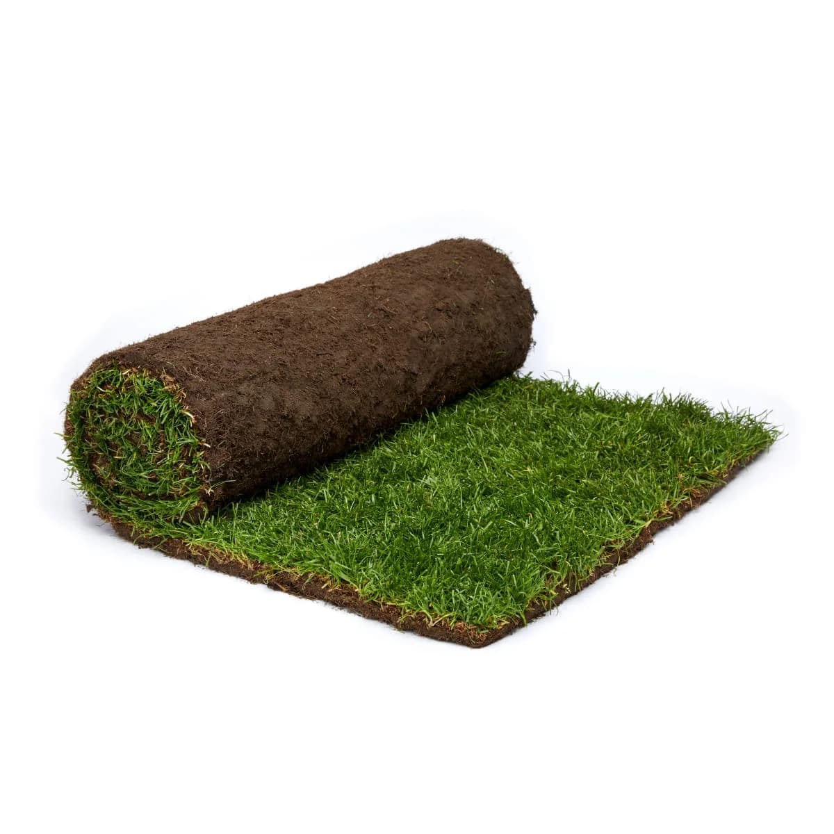 Rolawn Medallion Finest Multi Purpose Grass Turf Roll buy